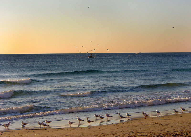 Alassio